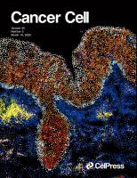 Single-cell multi-stage spatial evolutional map of esophageal carcinogenesis